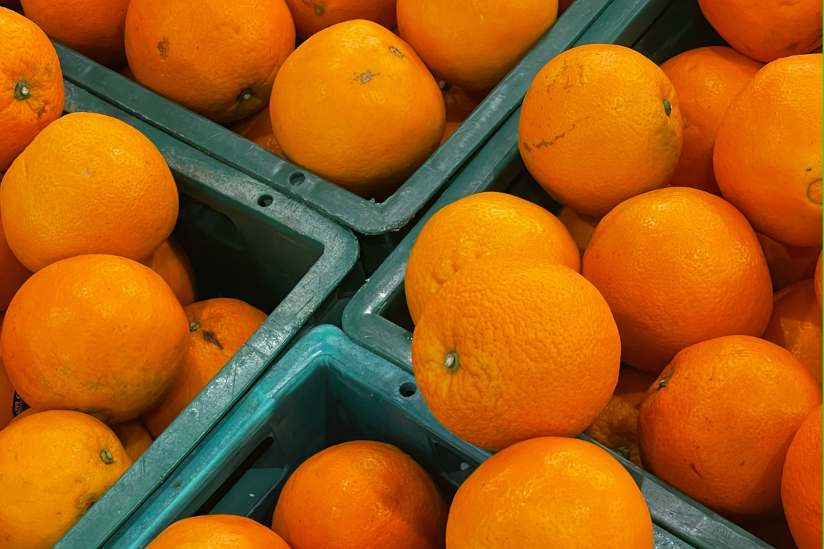 Naranjas seleccionadas en cajas listas para expedición
